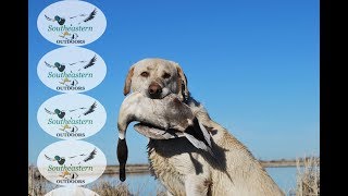 Arkansas Waterfowl Hunting - St. Charles AR Popa Duck - Dec 2014