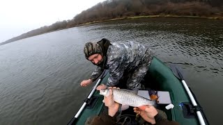 Рыбалка осенью/ловим на донки и перемёт /на живца/р Ока, дождь не помеха, ночуем в палатке