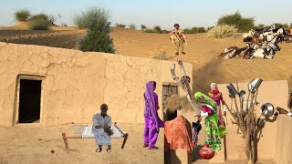 The voice of the people living in the Cholistan desert|| pakistan desert bodar zero line India