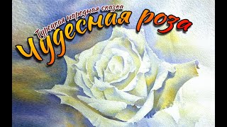 "Чудесная роза" - Турецкая народная сказка