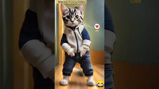 funny cat dancing 😁 patli kamariya mori😂😍 #cat #funny #dance #youtubeshorts