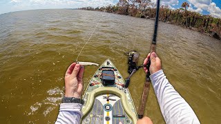 NLBN Mini Mullet Got SMOKED! (Paddleboard Fishing)