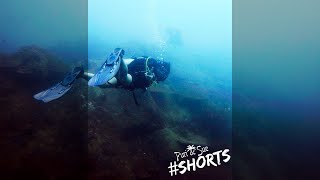 Pulau Tioman #Shorts | PADI EANx Diver Course