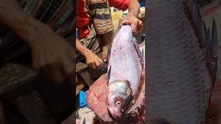 Amazing Catla Carp Fish Cutting Skills In Bangladesh Fish Market By Expert Cutter #shorts