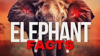 10 Incredible Elephant Facts You’ve NEVER Heard (With Stunning 4K Footage!)