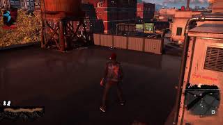 Infamous Second Son