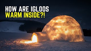 How are Igloos WARM Inside Even Though It Made of SNOW?!