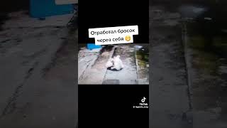 Бой котов 🐱 🤣🤣 #крутой  юмор #