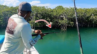 I DROVE 600 MILES TO FIND THIS ISLAND WITH SO MANY FISH! Key Biscayne, FL!