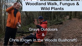 Woodland Walk, Fungi & Wild Plants on Ranmore Common