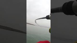 Pesca Spinning con Señuelo