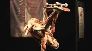 Body Worlds 3 News Report