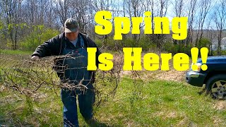 Clearing The GARDEN Happy for GARDENING's Return Garden and Homesteading ASMR