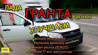 Лада Гранта ВИС. Прокачка "лучшей" половины Гранты. Улучшаем динамику  и охлаждение двигателя