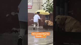 Young kid runs to protects cute dog... ❤️