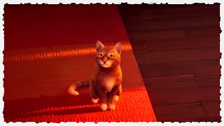 Life Is Strange: Double Exposure - Cat Visit