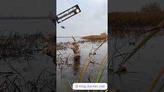 Правилтная экипировка-залог комфорта на охоте! #вейдерсы #kinghunter #hunting