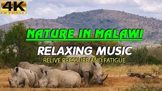 Nature In Malawi (4K UHD) - Relaxing Music - Heals Stress, Anxiety And Eliminates Fatigue