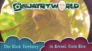 Tour of Sloth Territory Arenal Farm - Costa Rica Sloths, Babies, Monkeys, Toucans, Porcupine in HD