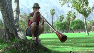 "Valley of the Spirits" Eucalyptus Didgeridoo by Ewarri