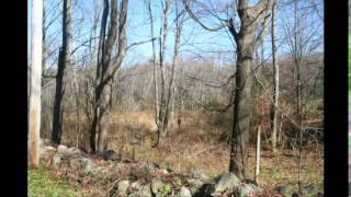 Land for Sale: Southeast Road, New Hartford, CT