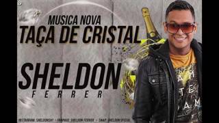 MC SHELDON FERRER TAÇA DE CRISTAL MUSICA NOVA 2016