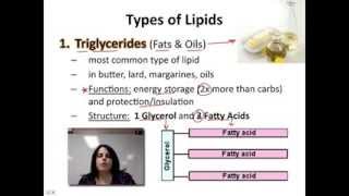 Ch. 2B - Lipids