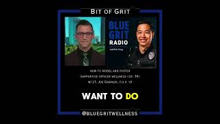 Joe Gamaldi- LT in Houston and VP for the FOP- we talk leadership and wellness in policing!