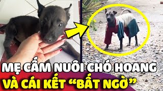 Gia đình nhất quyết KHÔNG CHO NUÔI bé chó hoang và CÁI KẾT bất ngờ 😅 | Gâu Đần