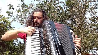 Vitoriosa (Ivan Lins) Fernando Ávila - acordeon