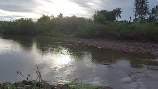 INDAHNYA SUNGAI DI DESA JOMBE..