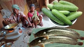 BIG MAGUR fish curry cooking by village old grandma & grandpa || how to cut and cook big magur fish