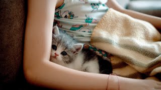 5-летняя история роста моей дочери и кота | 13 минут полных эмоций