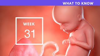 31 Weeks Pregnant | What To Know