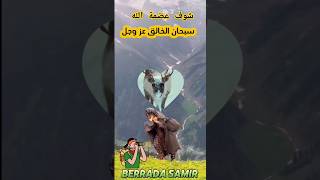 شاهد حقيقة عضمة الخالق سبحانه وتعالى قراة جميل ومناظر خلابه سبحان الله وبحمده يارب ارحمنا برحمتك