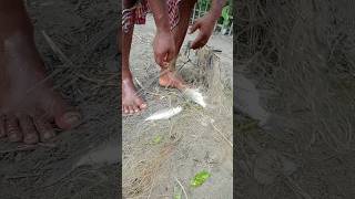 Amazing Fishing Video 🔴🐟 Satisfying Fishing Hight Technology 🔴 Tik Tok China#video #fishing #fish