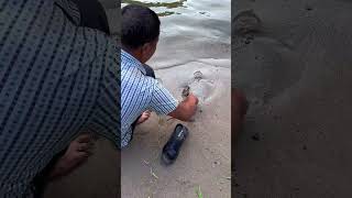 Fish catching #fish #fishing #big_fish #fishing_videos