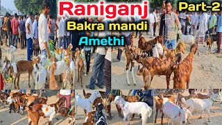 आज मंडी में आये बेहतरीन मेवाती और गुज़री बच्चे |Raniganj Bakra Mandi 15/10/24 (Part-2) New Video