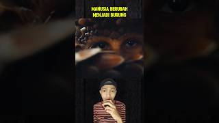 MANUSIA BERUBAH JADI BURUNG #film #short #storytelling