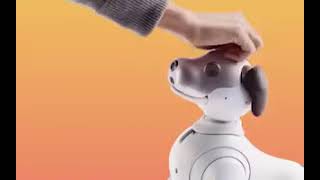 Petting a robot dog