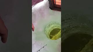 Big Walleye in Shallow Water Ice Fishing