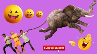 Eid Special Don’t Miss New Unlimited Funny Viral Trending Video 2023 By Kitcha007