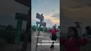 wa atmin agrowisata nanas prabumulih 089503216542