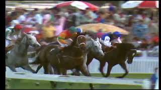 1977 EASTER HANDICAP - GREY WAY