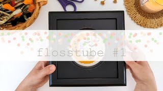 Flosstube #1 | Introduction & 2024 Stitching