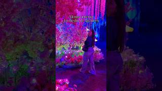 La mas feliz #sandiego #imaginarium #lights #familyday #familia #momstyle #fun #fall