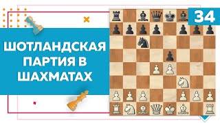 Шотландская партия в шахматах | Chess Up! School #34