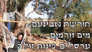 חורשת אבינועם - פינת מים קסומה, מושקעת ומוצלת ברמת הגולן עם ערסלים, זולות קומזיץ/מדורה. גישה עד המים