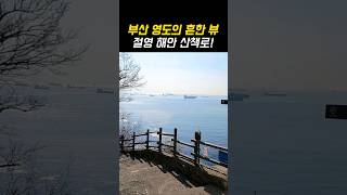 부산여행 영도의 흔한 뷰 해안 산책로 1시간 코스 추천!