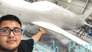 Freshly Painted Aircraft